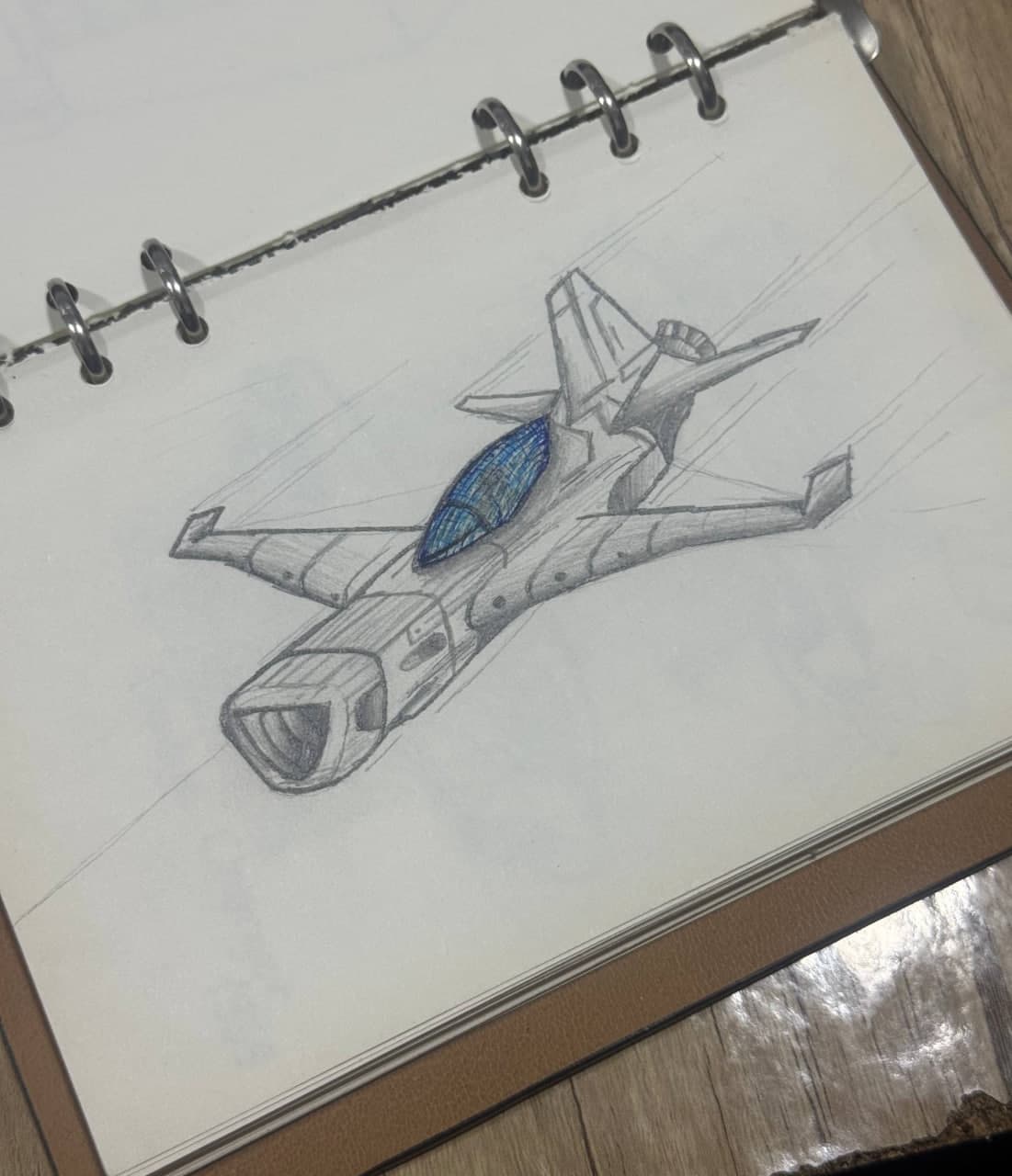 Plane in Flight